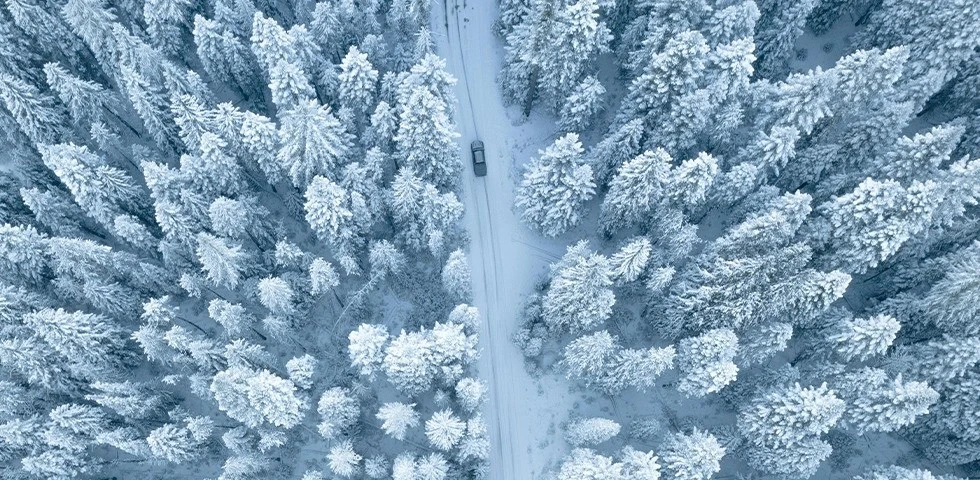 Ultra-low Temperature Cell