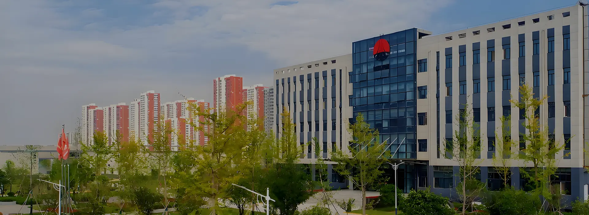 Company Profile